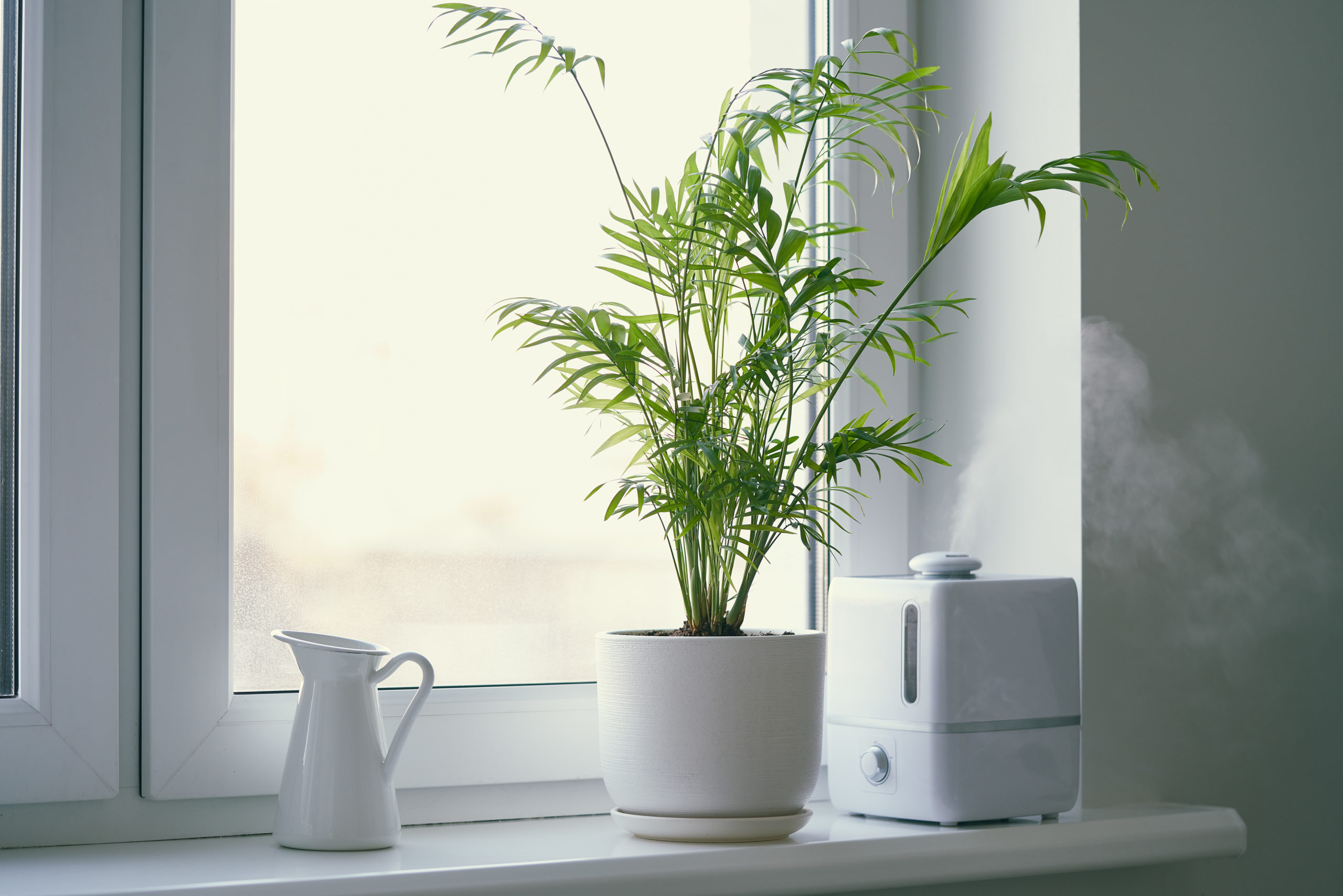 Can Water Damage Affect Your Health? 1 air puri scaled