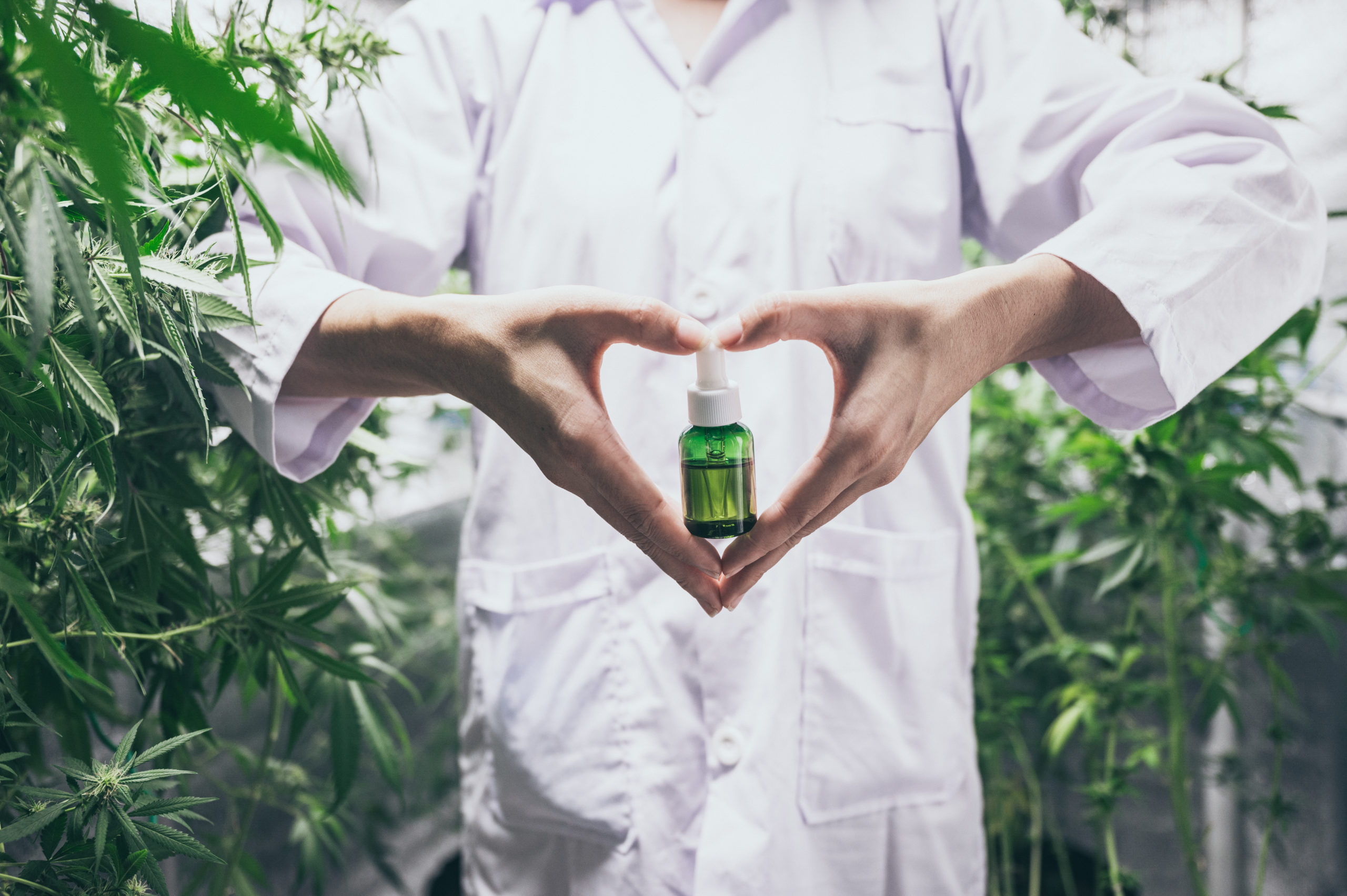 What You Should Know About Using CBD for Senior Care 1 cbd scaled