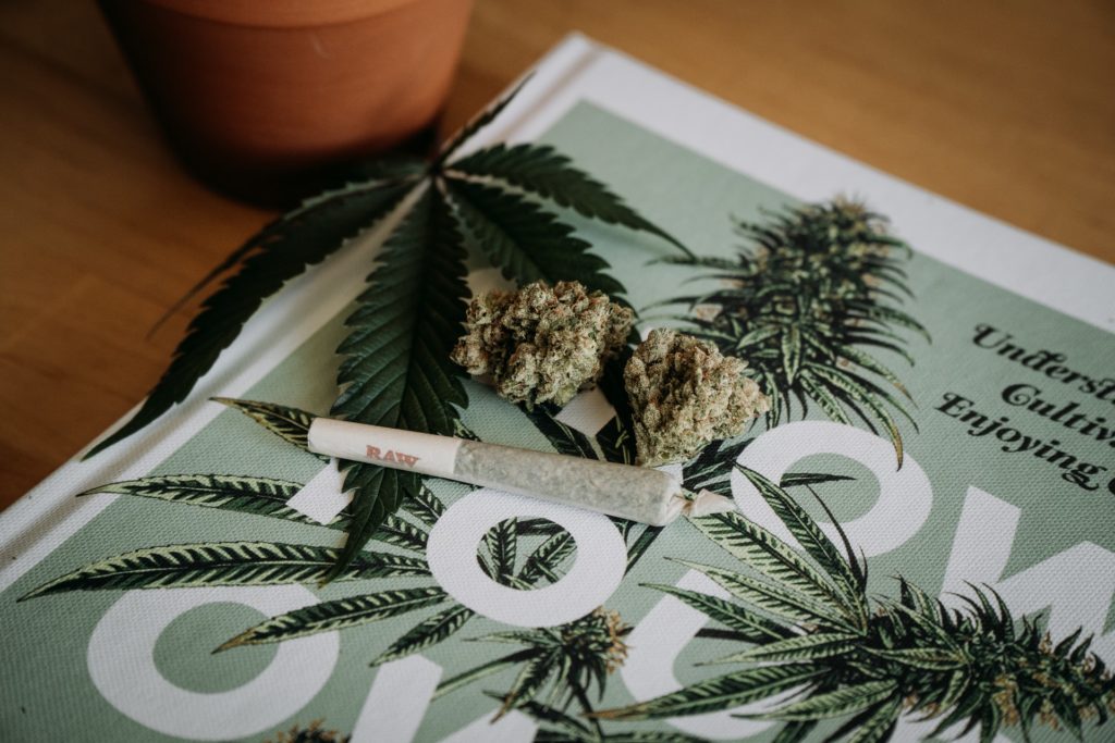All Things Weed: Best Prerolls & Odor Eliminators 30 weed