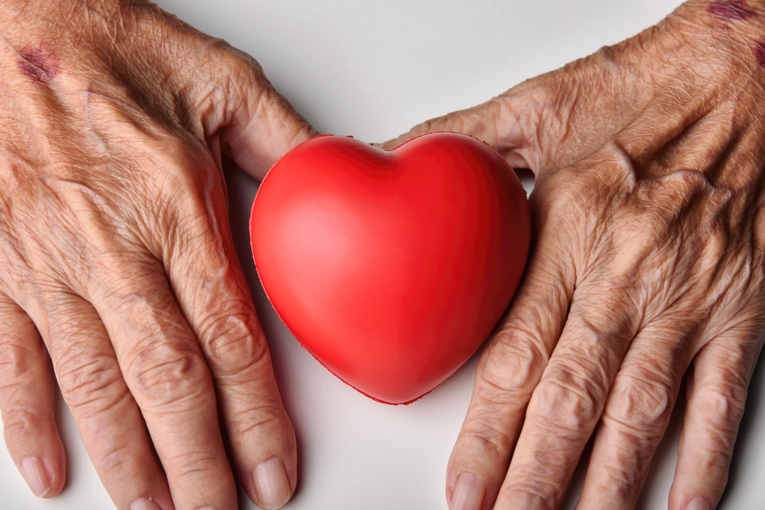 Caring for an Elderly Loved One: Tips for Caretakers 1 elderly care concept 2022 11 09 14 57 43 utc scaled