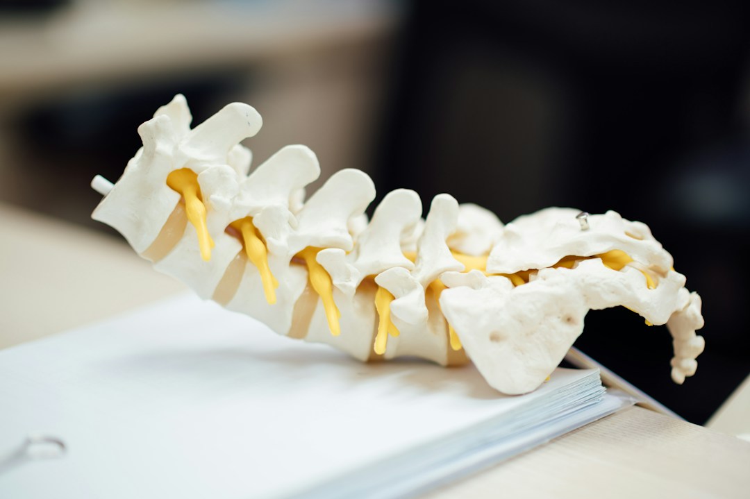 The Ins and Outs of Spine Health 2 img
