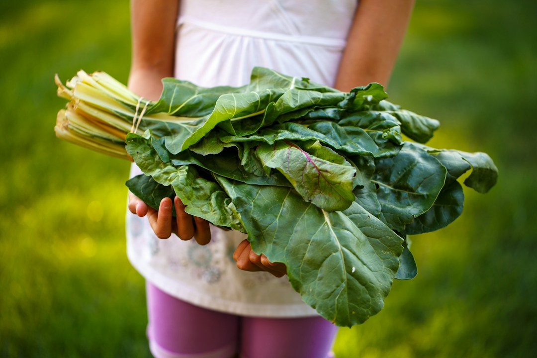 Healthy Food Choices That Can Improve Your Hair and Skin 3 img