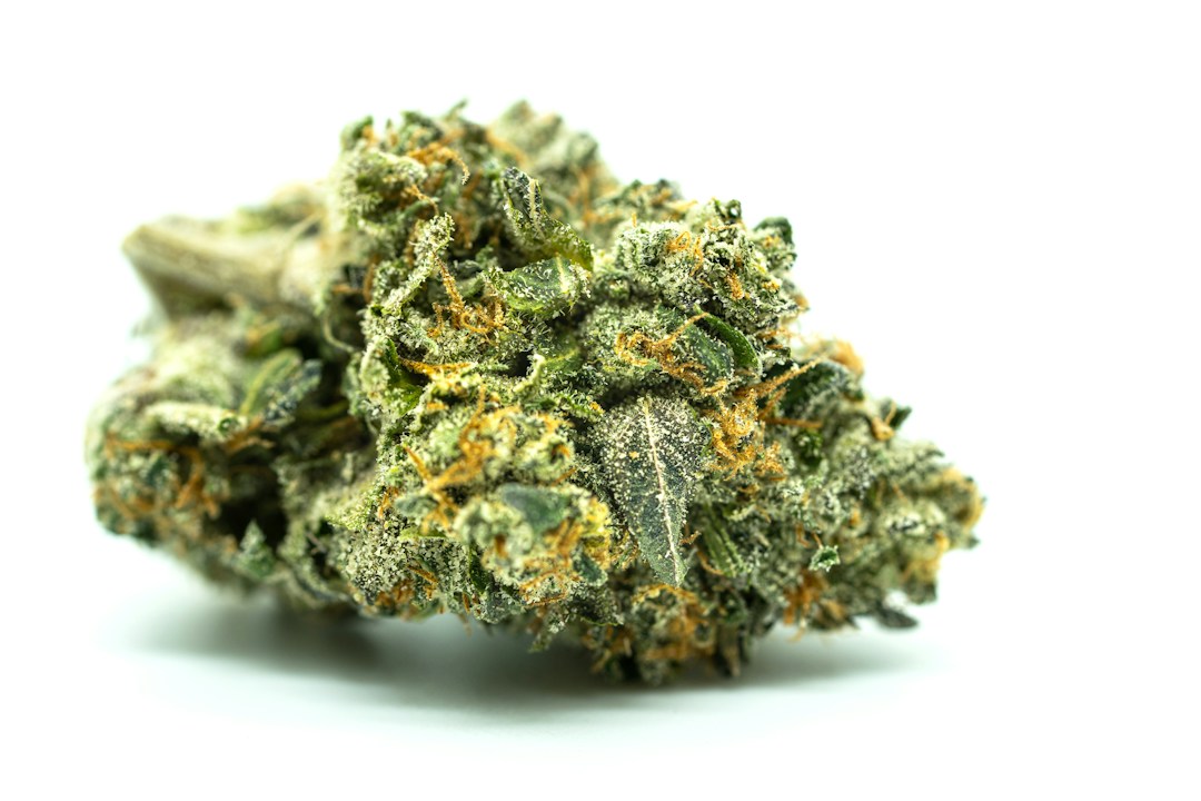 All Things Weed: Best Prerolls & Odor Eliminators 2 img