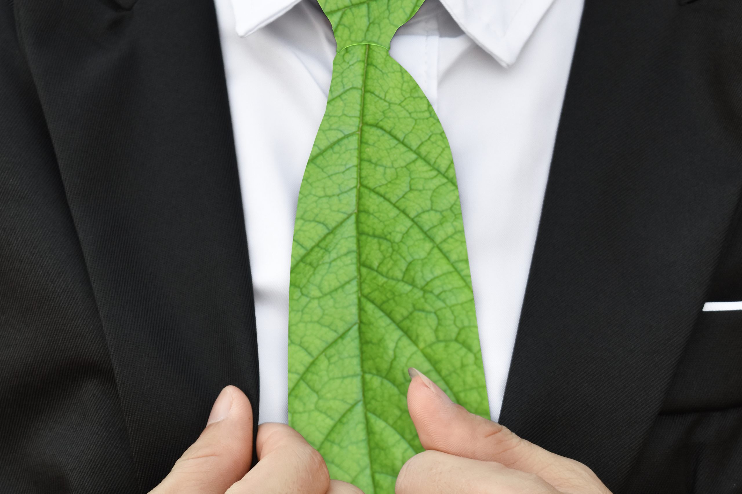 businessman in suit with green leaf as tie enviro 2022 11 04 02 58 29 utc scaled